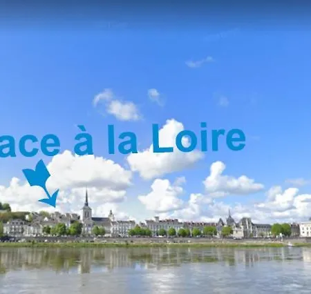 Bord De Loire